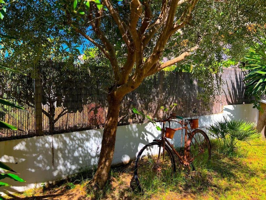 Ca Na Fulla. Agradable Casa Con Jardin Y Piscina. Holiday home